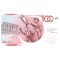 One Banknote 100 jaar Turkse Republiek 1923 - 1950 - Türkiye Cumhuriyeti'nin 100 yılı 1923 - 1950